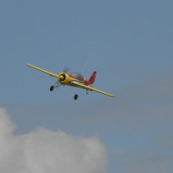 Yak 54 de Michel Gassmann – 2.2 mètres essence